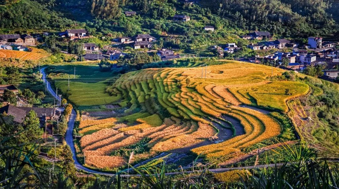 这里是宁德,这里是福建