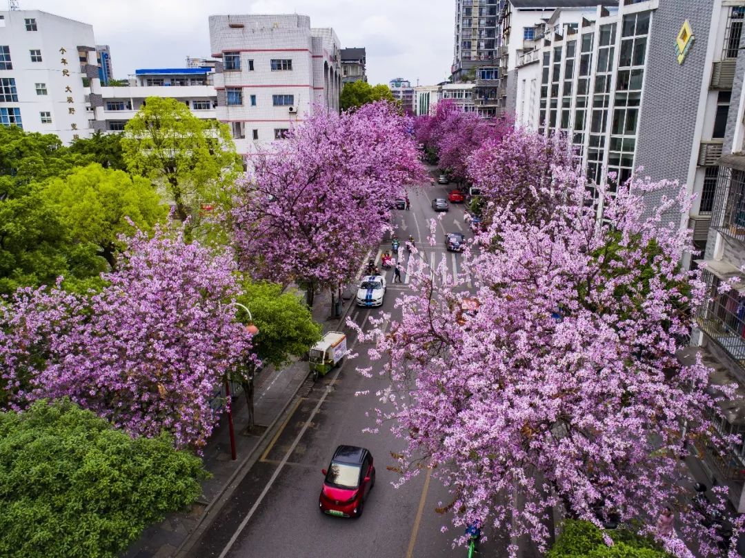 螺蛳粉征服世界,螺蛳粉征服全世界