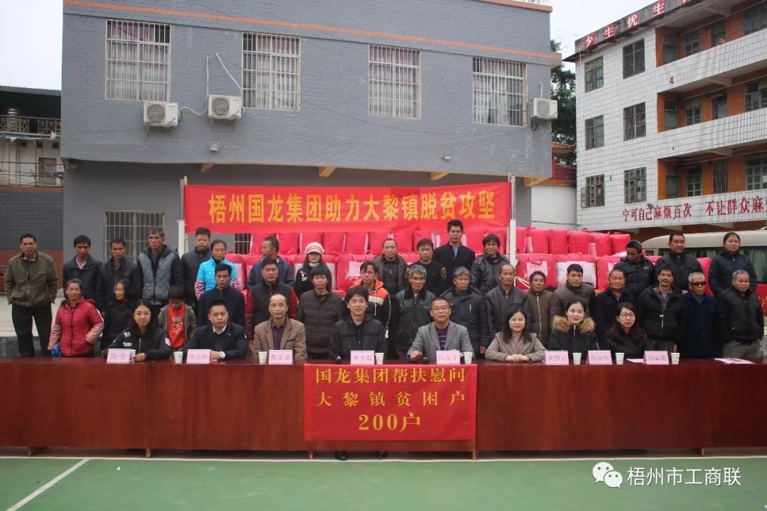 梧州市国龙集团,梧州国龙投资集团