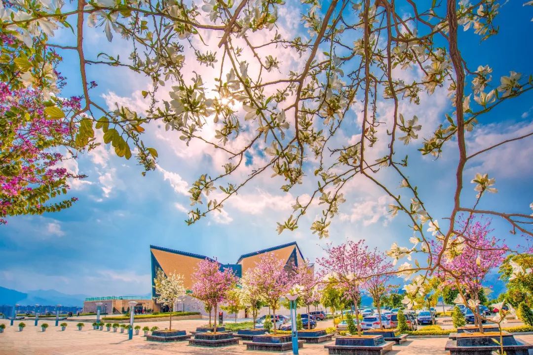 攀枝花旅游攻略自由行最佳路线 (自驾去攀枝花可以经过什么风景区)