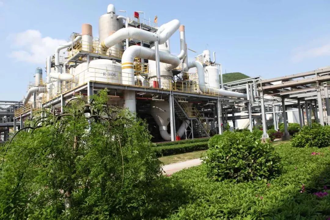 宋志平国资委,宋志平烟台万华