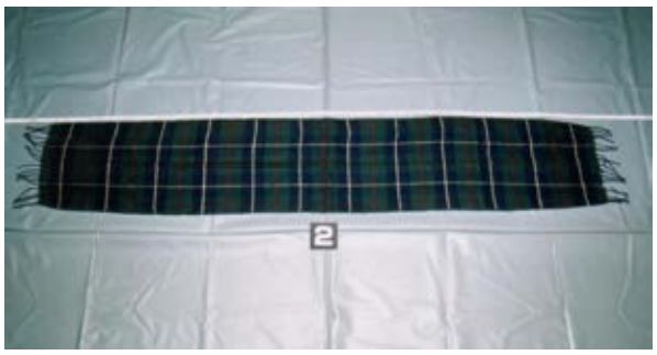 世田谷一家灭门案,世田谷一家灭门悬案