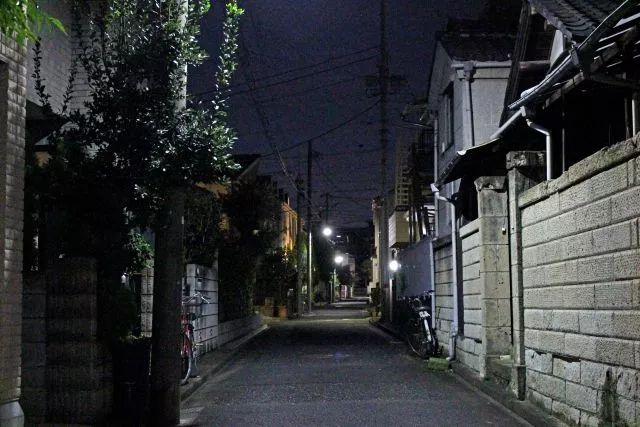 世田谷一家灭门案,世田谷一家灭门悬案