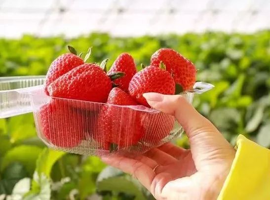 玩的地方推荐三天游,三天两夜旅游强推