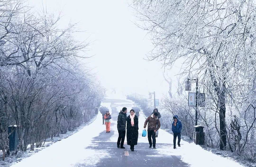 雨雪天高速管制,结冰高速封闭情况查询今天