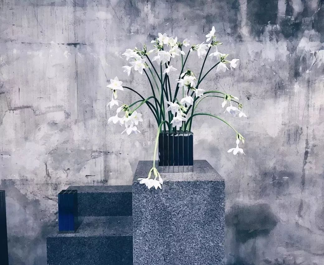 不用羡慕小S坐拥小姐姐花店，全球最美的7家花店还等你去打卡呐~