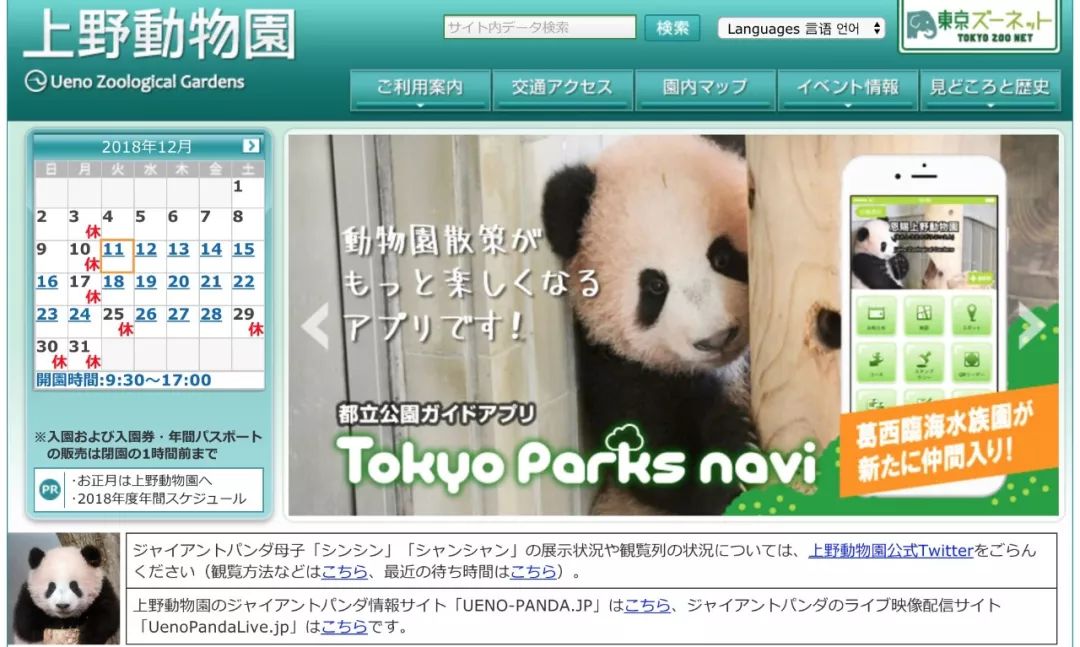 老外多爱猫咪,老外多爱中国