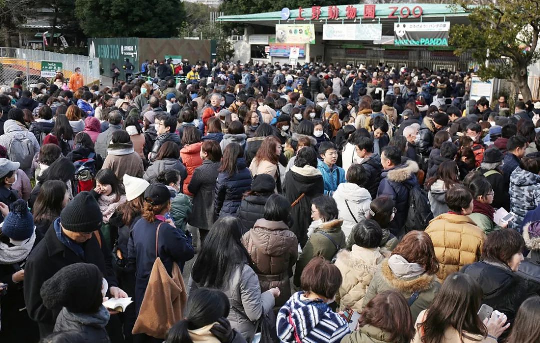 老外到底多喜欢熊猫,老外看中国大熊猫