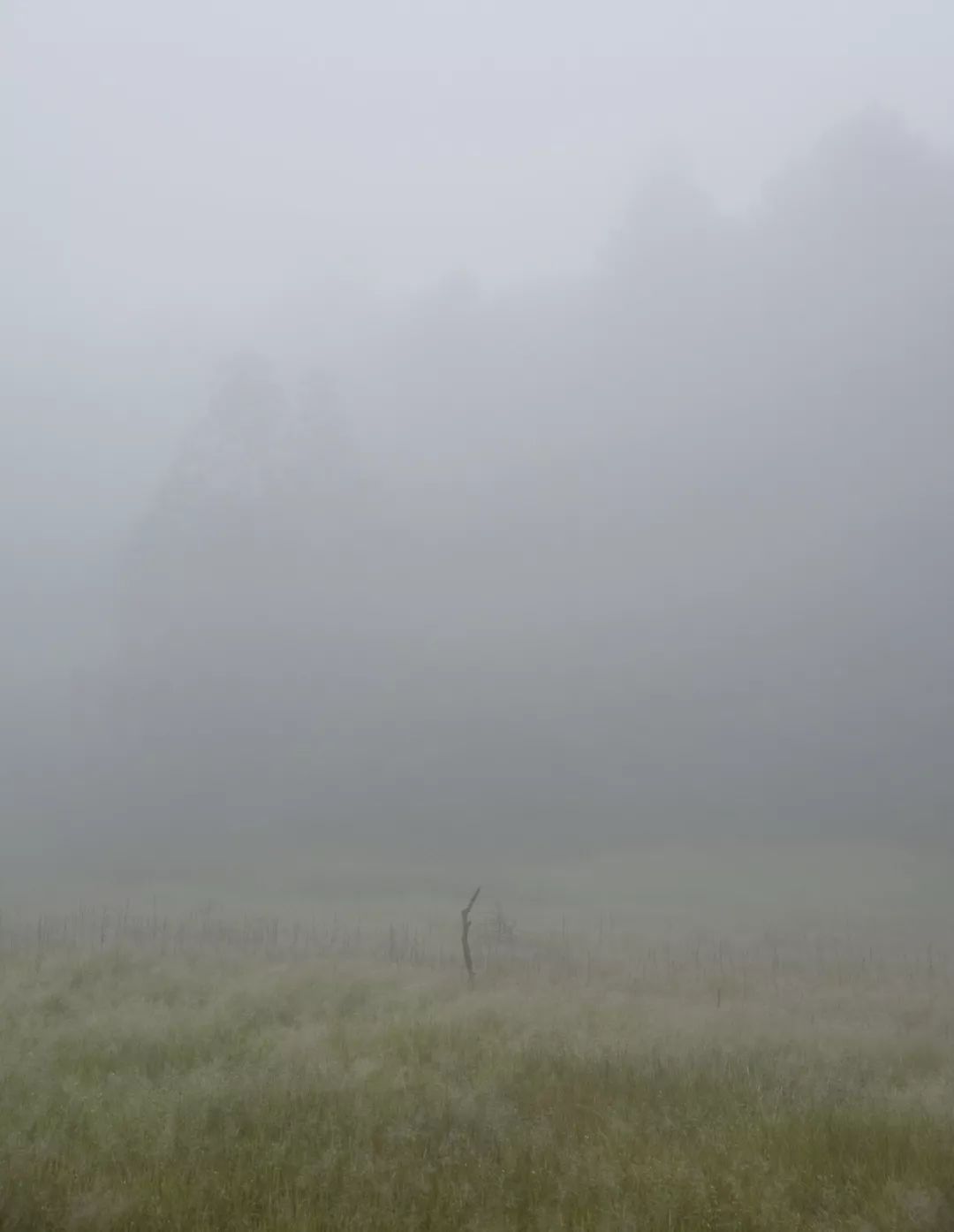 最美的风景在路上在心里,最美的风景在心里也在路上