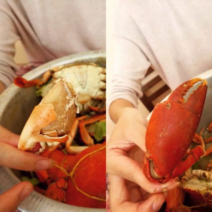 为什么我们总是不能好好相处,为什么我们都选择出国