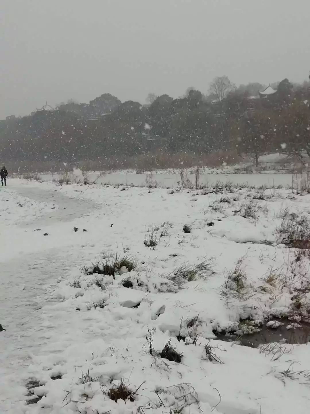 一个石首吧友的新年梦