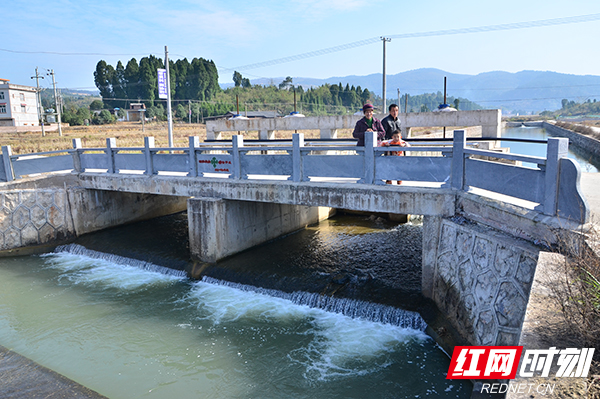 武冈市大甸镇：惠民举措落实民生改善当先