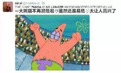 老外到底多喜欢熊猫,老外看中国大熊猫