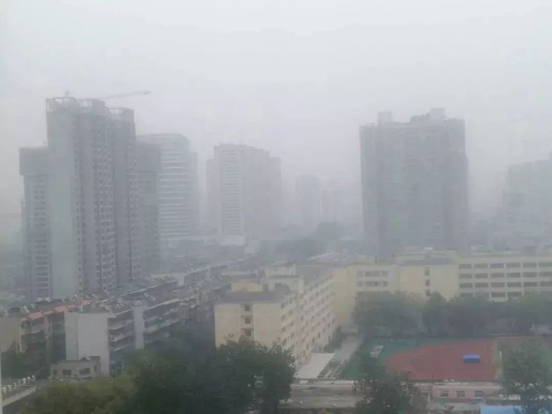 就在刚刚，传来一份近千万西安人的年度总结，内容过于真实……