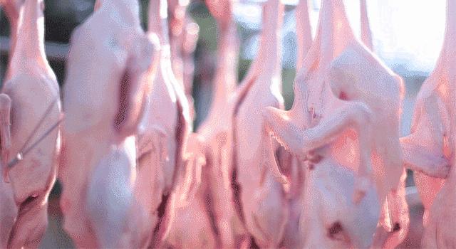 食神家宴酱鸭750g,食神酱鸭