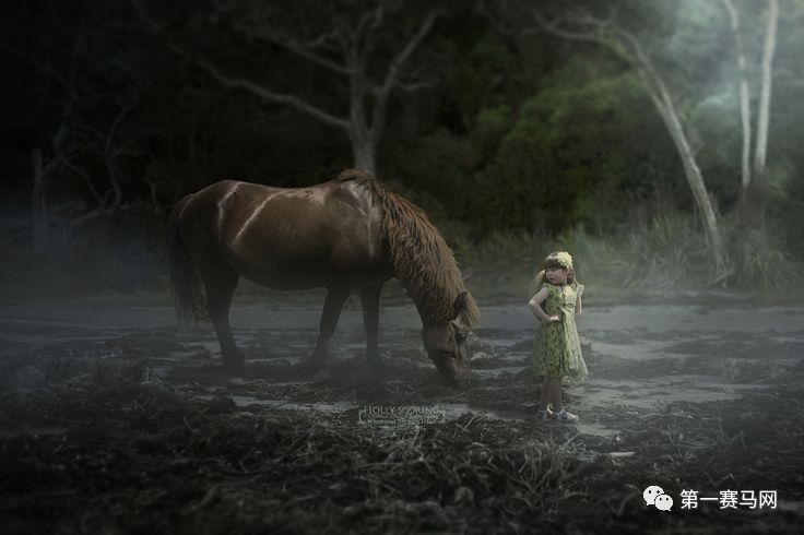 鬼马系列写真,马写真高清图片大全