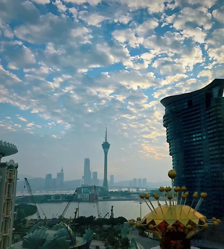 澳门真的有好吃的吗,澳门好吃的饭店