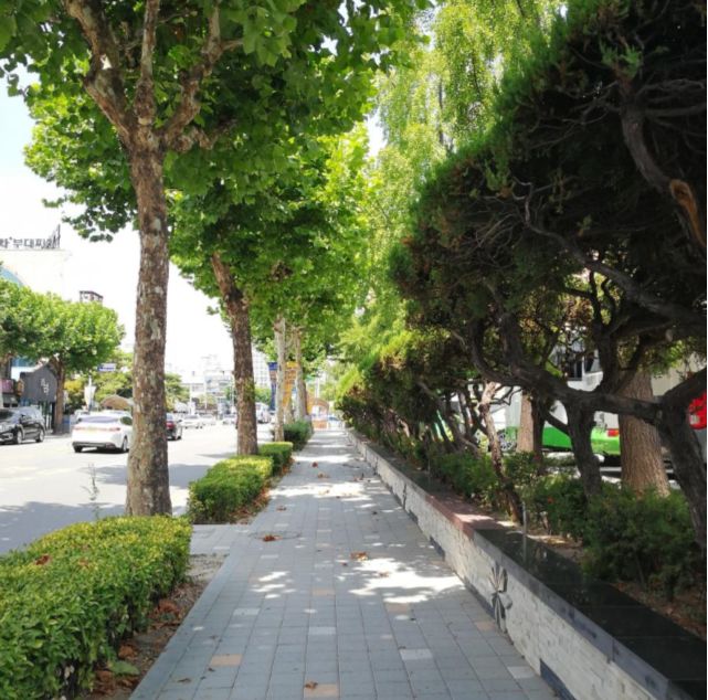 园林大讲堂｜清溪川：韩国人最引以为傲的生态改造项目