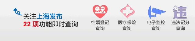 「收藏」不能错过的小美好！上海12个月行走指南来啦