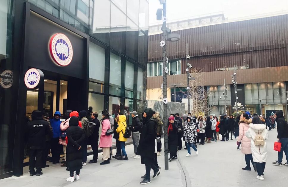 加拿大鹅为什么要和波司登比较 (加拿大鹅和波司登哪个抗寒)