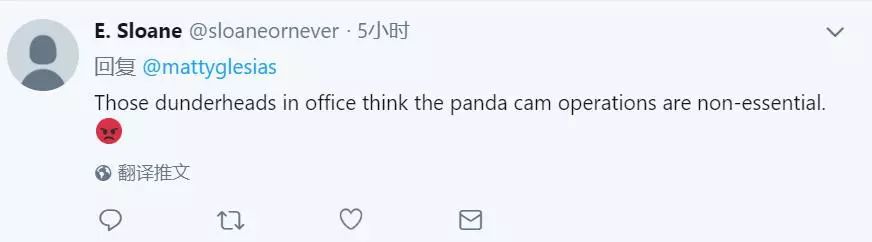 美国政府关门，“直播熊猫”画面被掐！美国网友炸锅：你们把我惹毛了