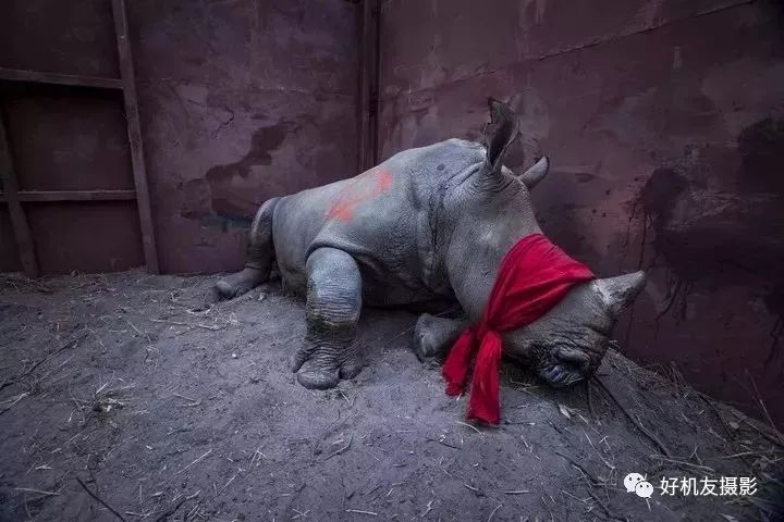 荷赛大奖作品,荷赛2022年获奖作品