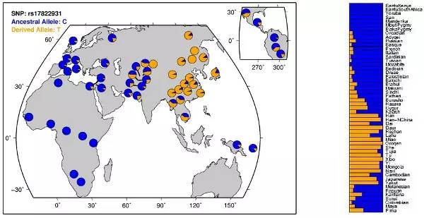 老娘没狐臭！就算有，也是正常！