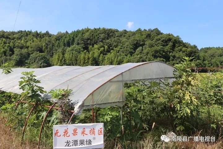 南陵民间故事,南陵历史故事