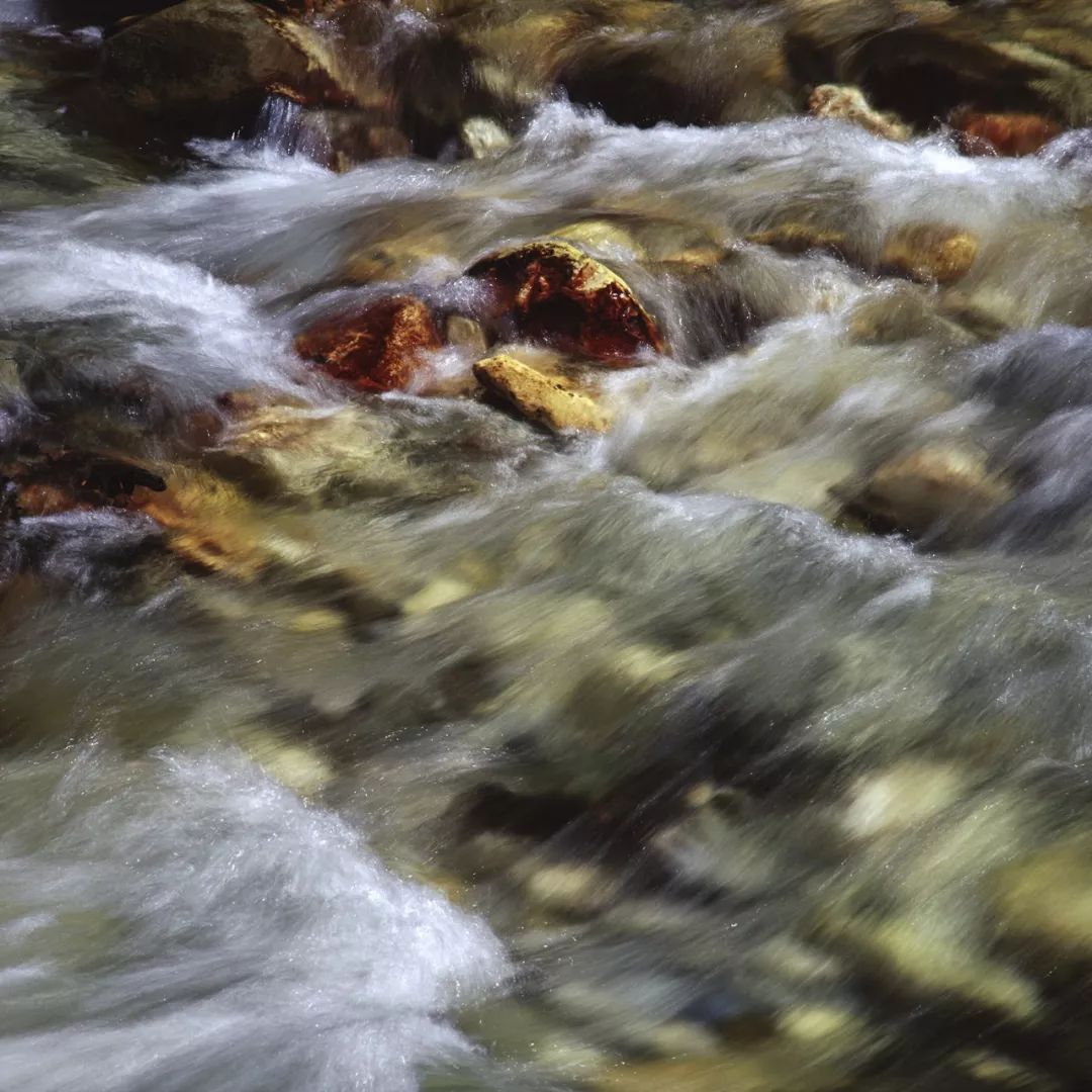 稻城最高的地方,最高级栖息地