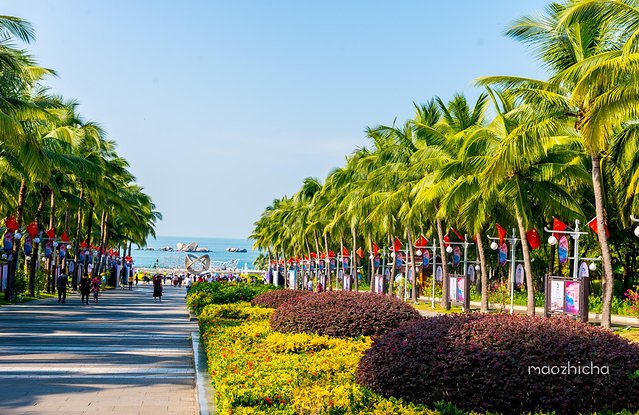 五天四晚三亚自驾,五天四晚三亚旅游路线