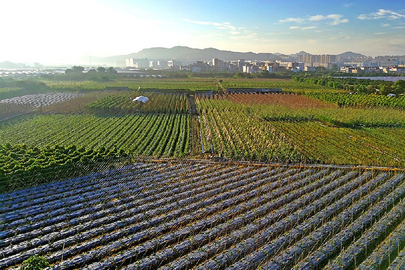 40年广州巨变,40年巨变视频