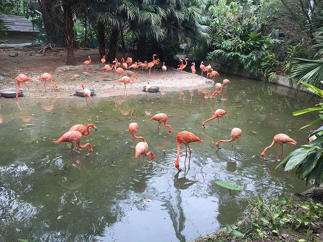 第一次去大城市攻略,大城一日游路线攻略