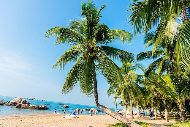 第一次去大城市攻略,大城一日游路线攻略