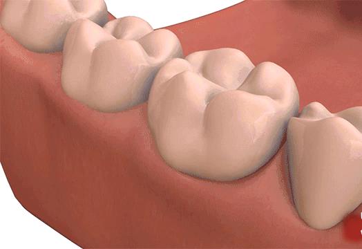 美国nasa咽喉喷剂,美国防止细菌的喷雾