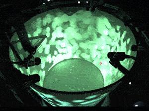 她刚开始向我表白,她很主动的跟我表白