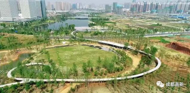 空中连廊、街角绿地、活力乐园……成都高新串起269公里风景线