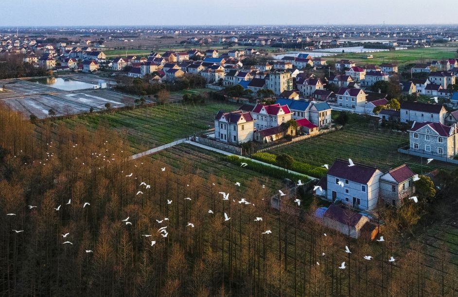 人均可支配收入年均增长,2021全国人均可支配收入增长9.1%