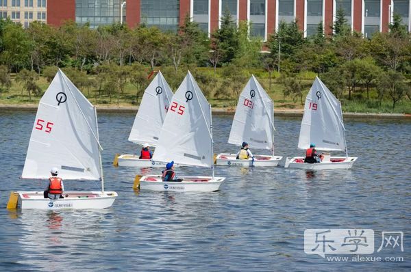 校园足球新思路,以校园足球为主题