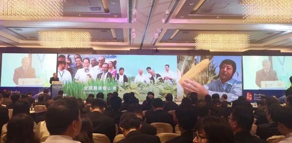 她暗示让我跟她表白,她很主动的跟我表白