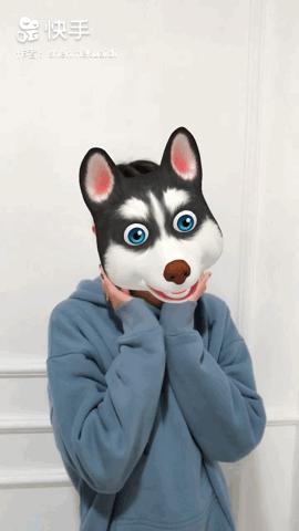 苹果手机拍动画头像的软件,怎么用iphone拍出卡通头像视频