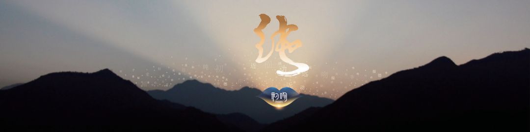 初吻内衣旗舰店,初吻品牌官方旗舰店内衣