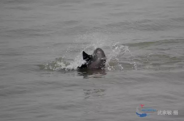 蹦跶自然课堂丨守护“微笑精灵”，我们在行动