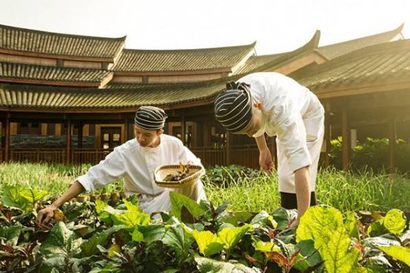 酒店服务员制服吸引顾客,酒店时尚制服