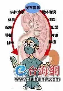 吓！漳州一出租房里，这帮人竟敢摘肾换肾！幕后太惊人……