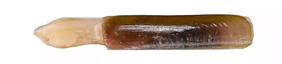 不认识这些海鲜，还敢说吃遍三亚？“三亚发布”能查海鲜限价哦～