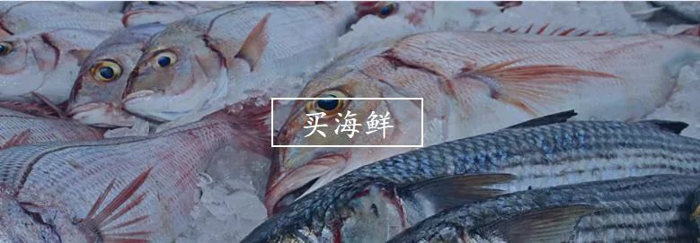 不认识这些海鲜，还敢说吃遍三亚？“三亚发布”能查海鲜限价哦～