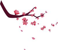 【扫黑除恶】牡丹江市人民检察院扫黑除恶督导组深入基层院督导推进全市黑恶案件进展(第819期)