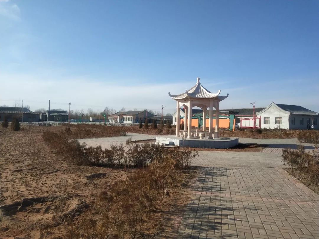 「乌审·民情日记」大牛地村第一书记朝格吉乐图