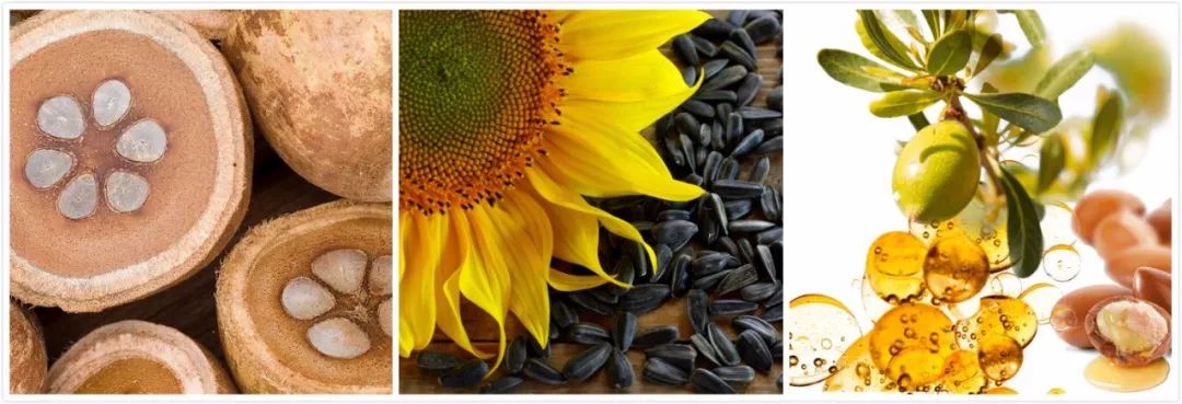 团购预告｜嫩出水、白成雪、滑溜溜的肌肤，靠这款身体乳就够了