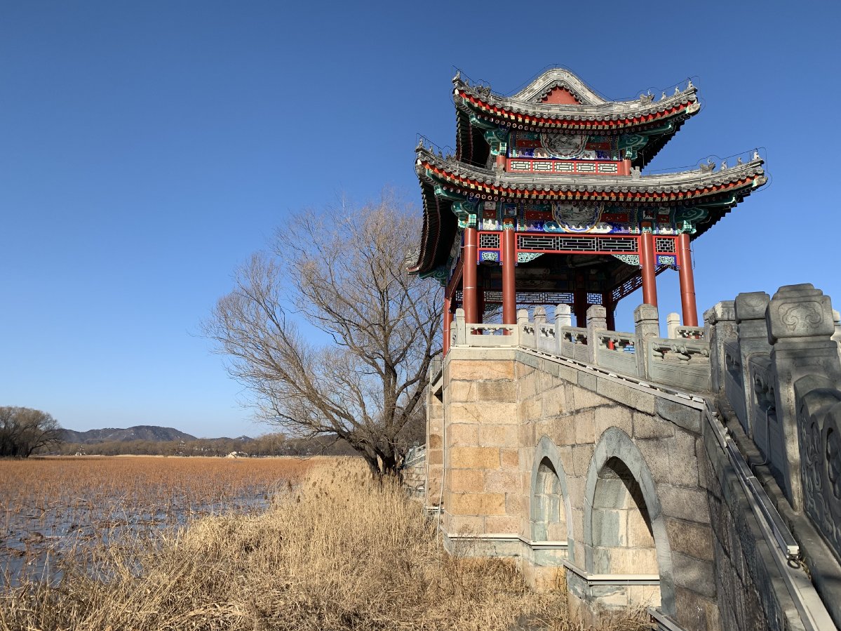 苹果xr主要是哪个摄像头拍照,苹果xr到苹果15前后置摄像头